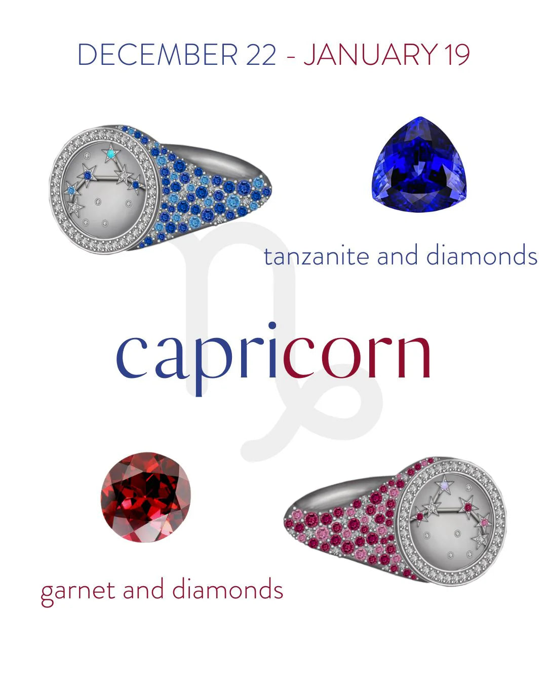 Capricorn Zodiac Ring